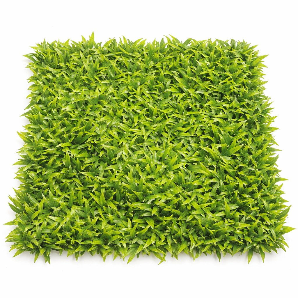 Mur végétal au feuillage vert naturel et dense